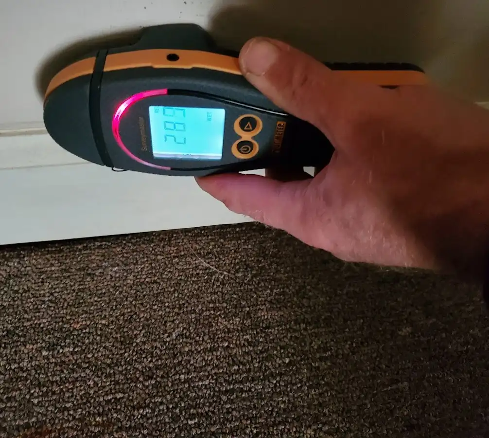 Moisture detection at baseboard during Sewage Cleanup & Sanitation in East Caln